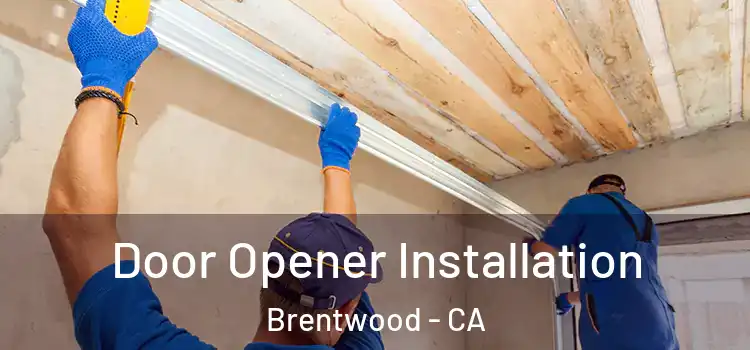 Door Opener Installation Brentwood - CA