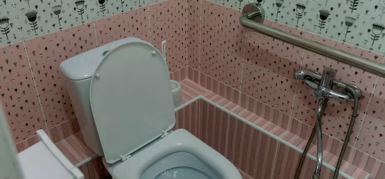Meeting Diverse Needs With Accessible Restroom Solutions in Brentwood, CA
