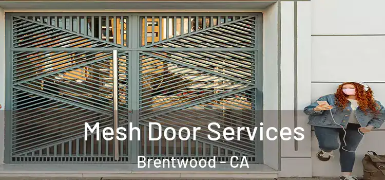 Mesh Door Services Brentwood - CA